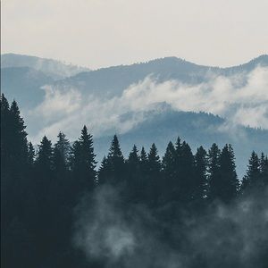 Meet your Posher, Prince